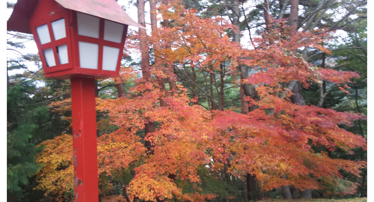 生け花教室 話題 紅葉