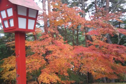 生け花教室 話題 紅葉