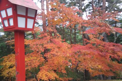 生け花教室 話題 紅葉