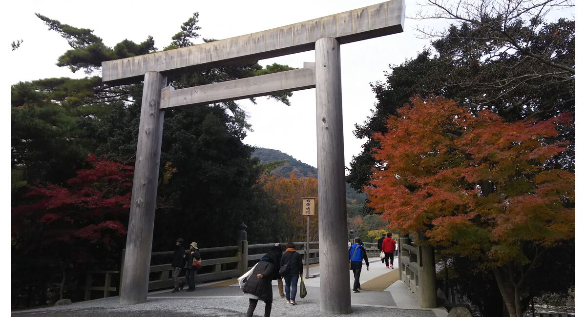 生け花教室 横井紅炎 伊勢神宮