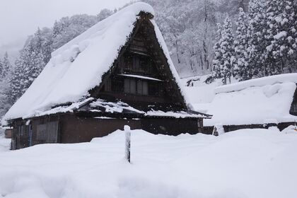 生け花教室 話題 冬景色
