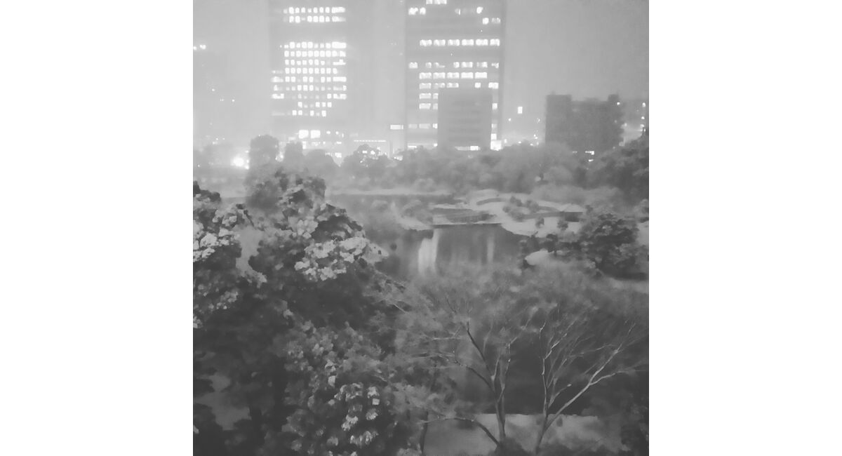東京の生け花教室