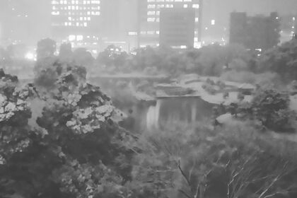 東京の生け花教室
