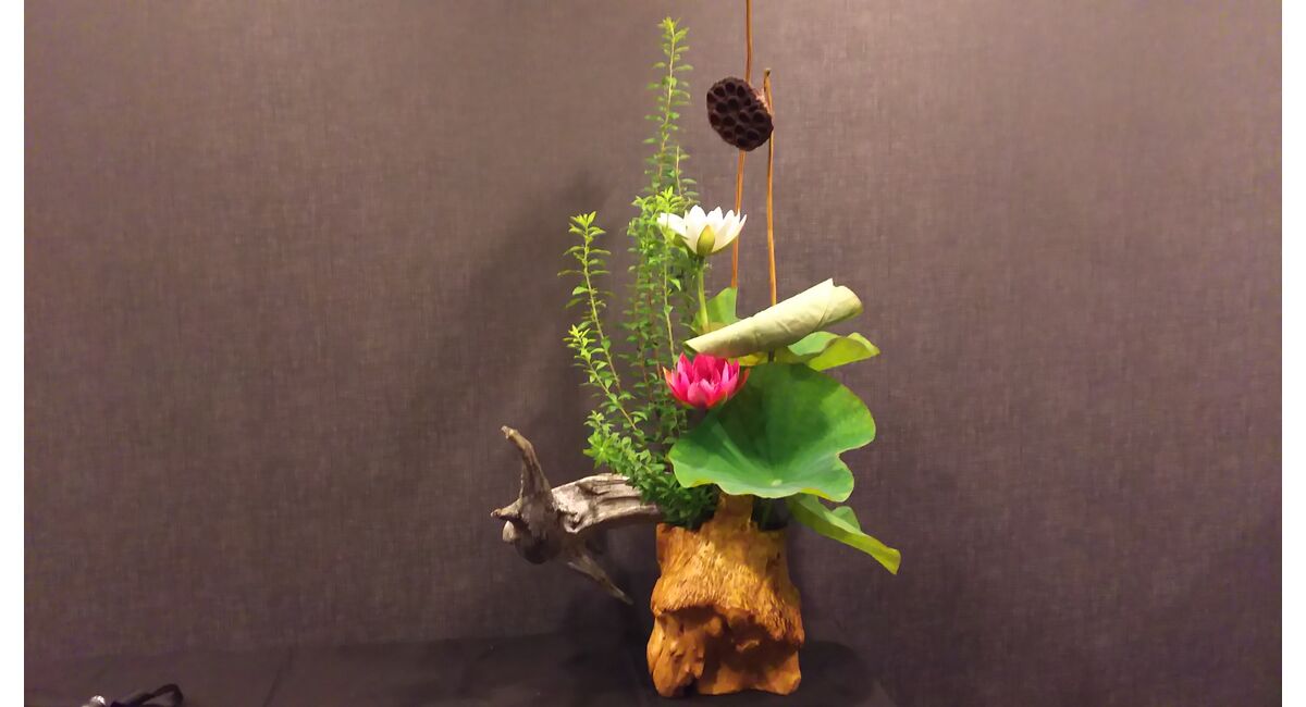 蓮の生け花