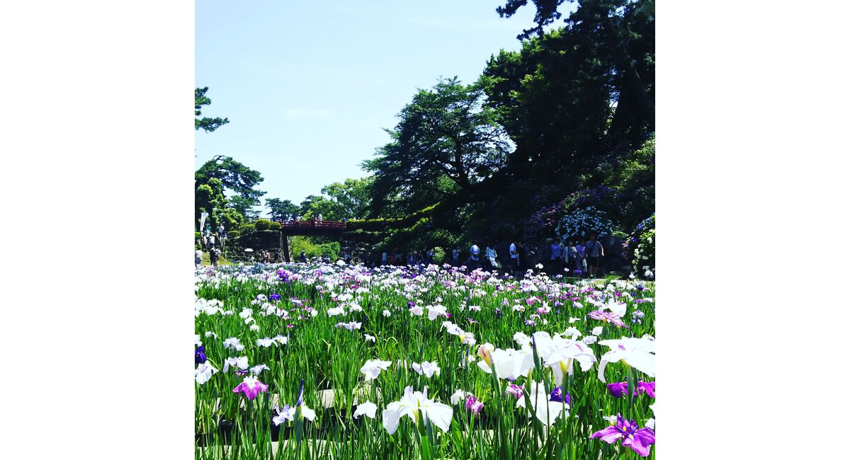 小田原城址公園