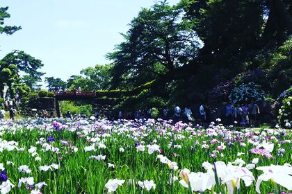 小田原城址公園