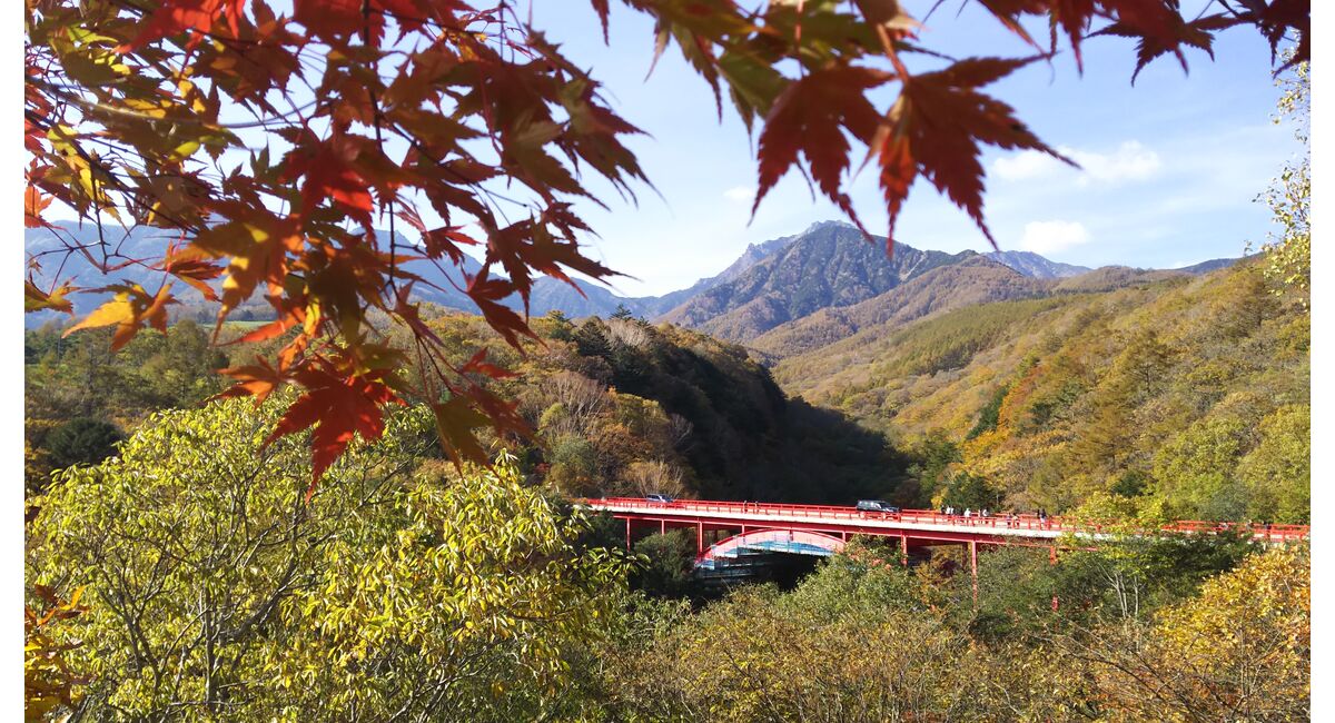 八ヶ岳高原