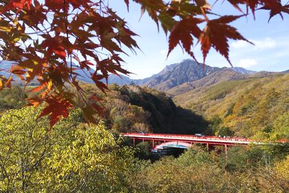 八ヶ岳高原