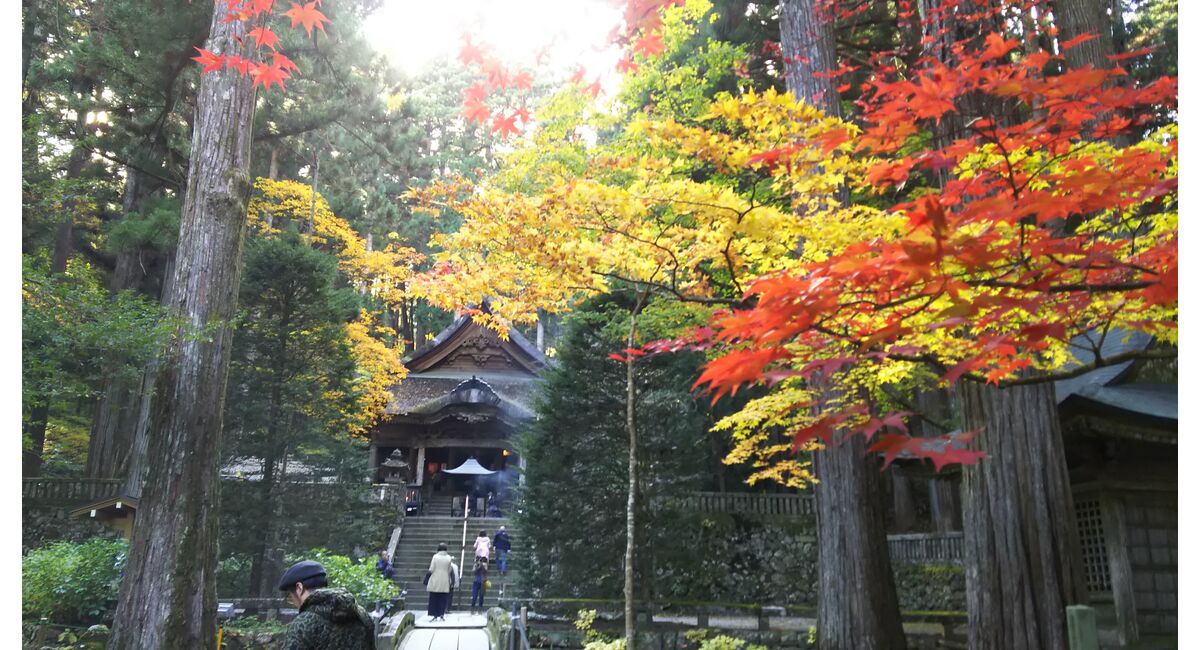 草月流派 紅葉めぐり