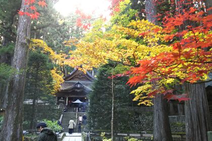 草月流派 紅葉めぐり
