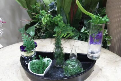 ミニチュアール