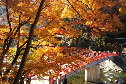紅葉2