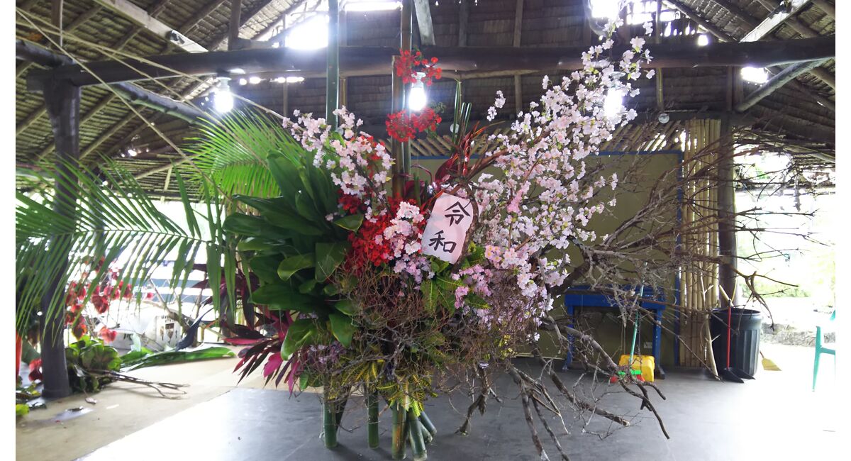 パラオの桜 神奈川の生け花教室なら横井紅炎のブログをご覧ください