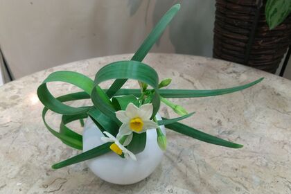 苔花
