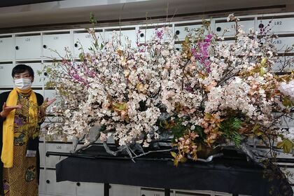 桜