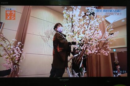 桜